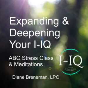 Expanding & Deepening Your I-IQ - Stress Class & Meditations